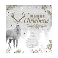 Christmas Greeting Card